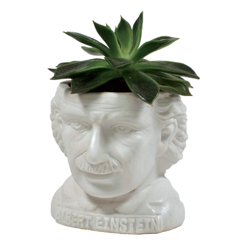 The Unemployed Philosophers Guild Albert Einstein Bust Ceramic Planter - Image 2